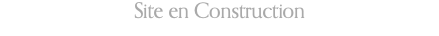 Site en Construction