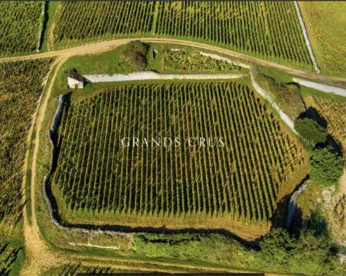 Accès direct aux Grans Crus