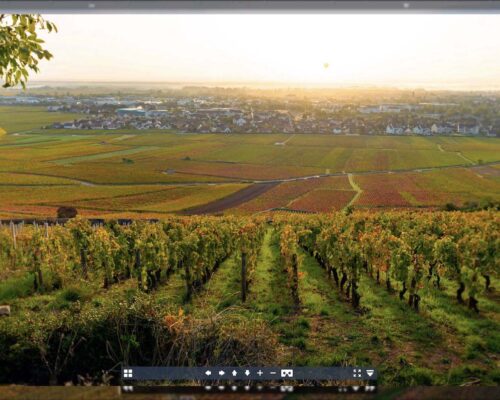 Photo à 360x180° de la parcelle